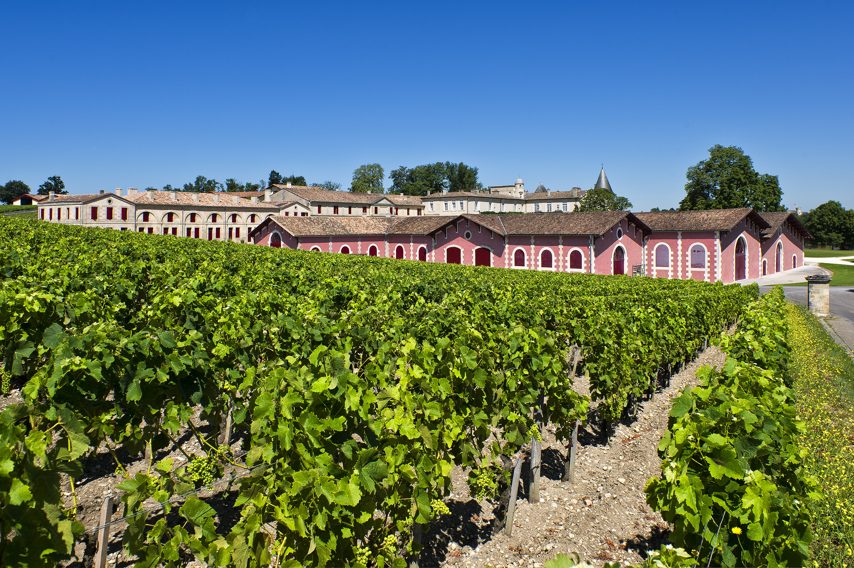 Château Lafite Rothschild 2023